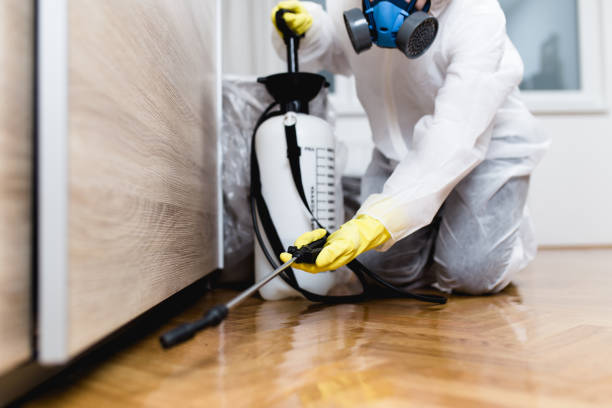 Best Pest Prevention Services  in Burnsville, NC