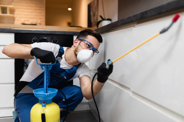 Best Pest Removal Services  in Burnsville, NC