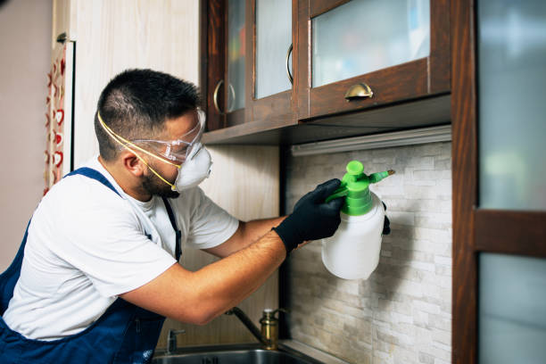 Best Best Pest Control Companies  in Burnsville, NC