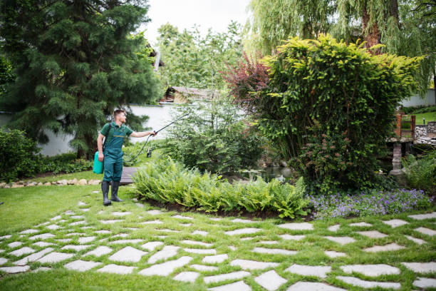 Best Commercial Pest Control Services  in Burnsville, NC