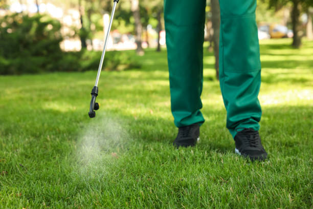 Best Pest Prevention Services  in Burnsville, NC