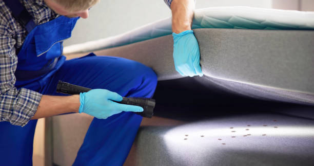 Best Residential Pest Control  in Burnsville, NC