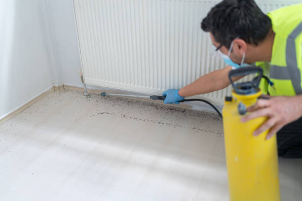 Best Local Pest Control Services  in Burnsville, NC